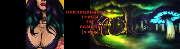 кокс Алзамай