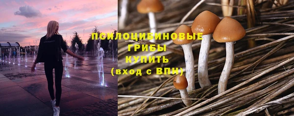 каннабис Алексин