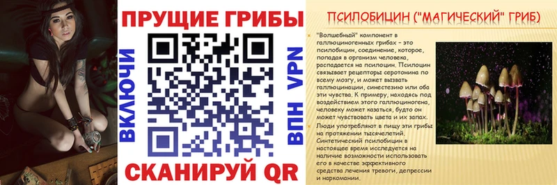 Галлюциногенные грибы мухоморы  где купить наркоту  Берёзовка 